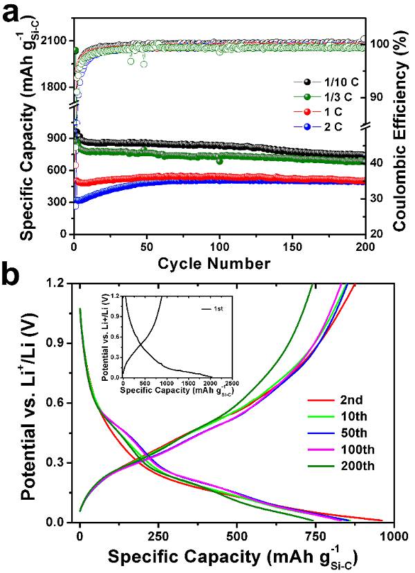 SiNPs@CPS的充电机充电锂电池电化学性能研究